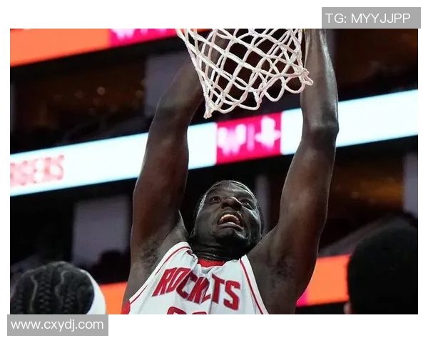 克林特卡佩拉在NBA赛场上的成长与突破之路分析